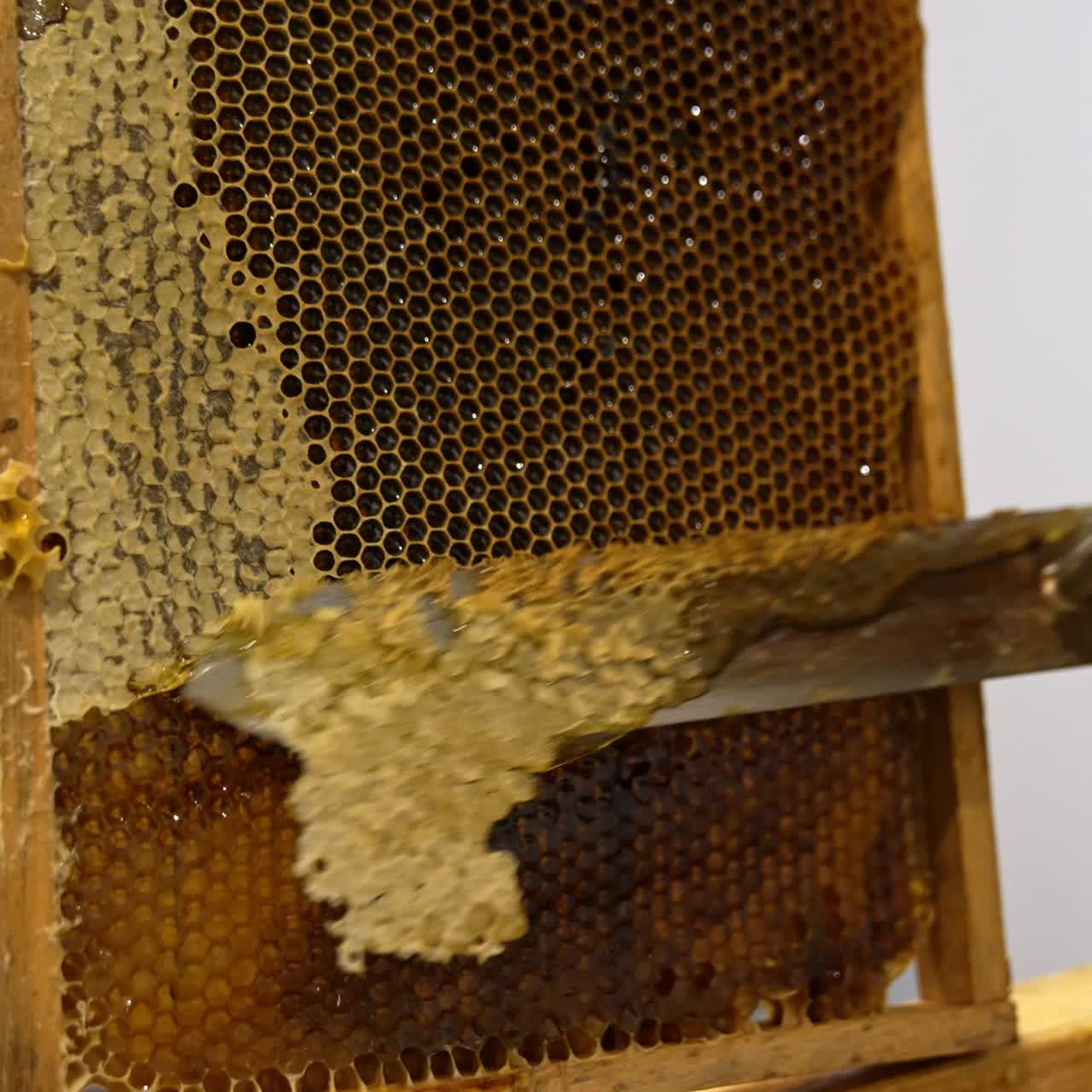 Coltello elettrico che taglia la parte superiore dei favi pieni di miele biologico fresco e liquido. L'apicoltore prepara i telai per la rimozione del miele.