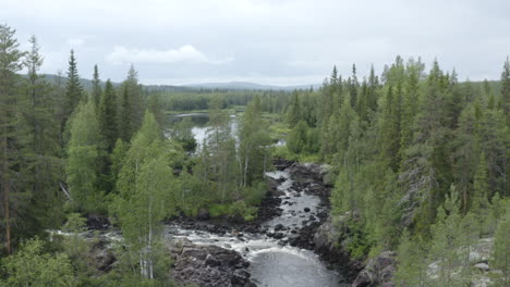 4k-Drone-shot-of-a-connecting-river-water-stream-in-the-woods