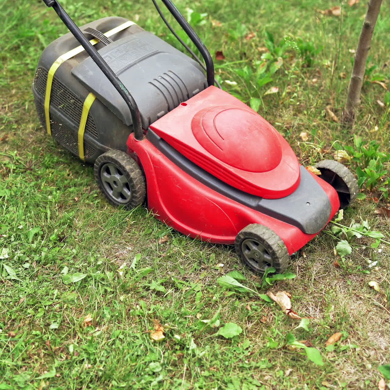 Boy working in the yard with lawn mower. Electric machine is cutting grass in the garden. Gardening works outdoors.