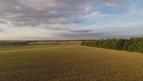 Volando-Lentamente-Sobre-Hermosas-Tierras-De-Cultivo-Doradas-1