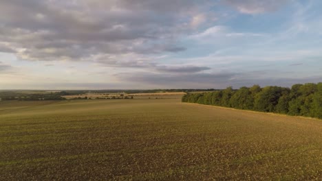 flying slowly over beautiful golden farmland-1