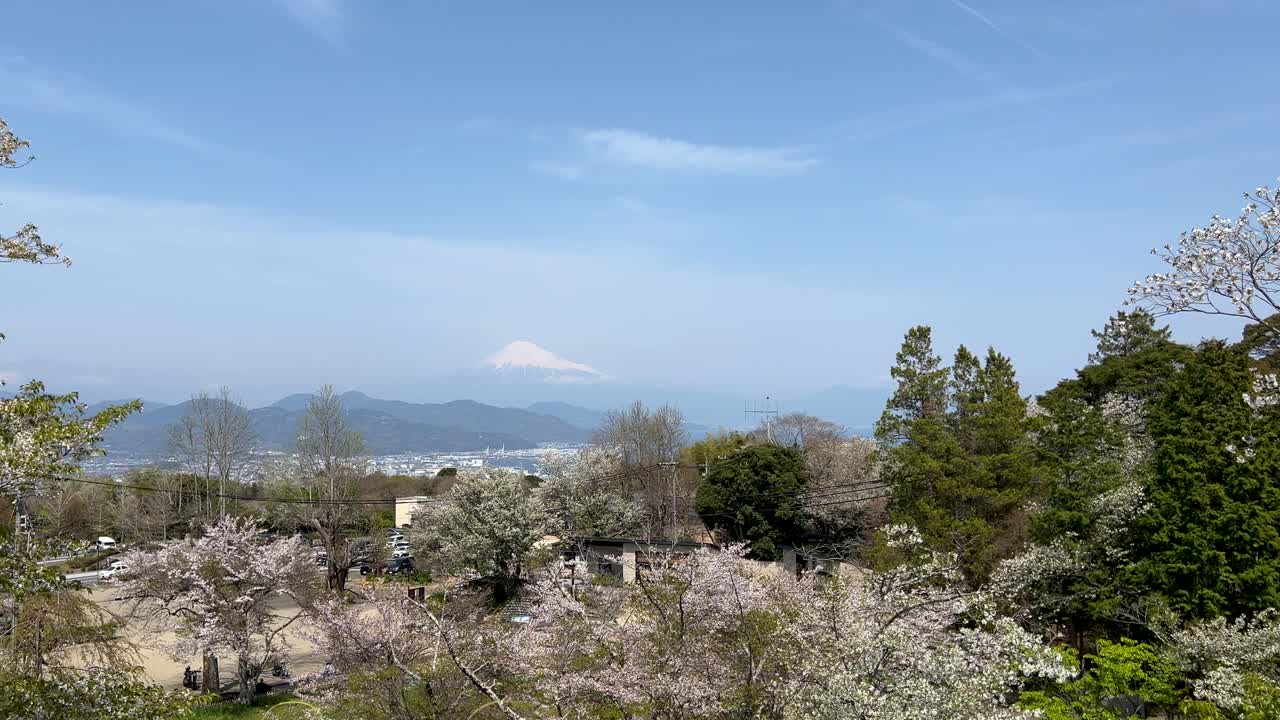 High above panorama over cherry blossoms and Mt. Fuji