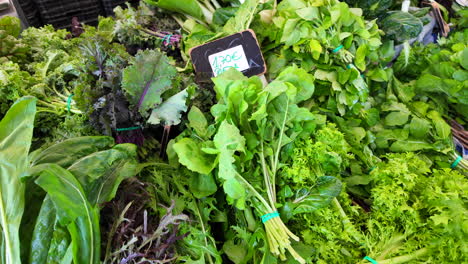 Organic-farmers-market-with-fresh-herbs-from-the-local-farm,-healthy-bio-greens-and-salad-leaves-for-sale,-4K-shot