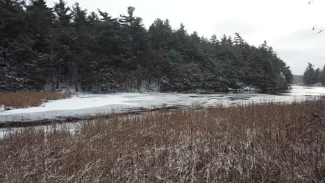 Snow-and-wintery-nature-with-trees-on-a-frozen-lake-in-Canada---Drone-4k-Aerial