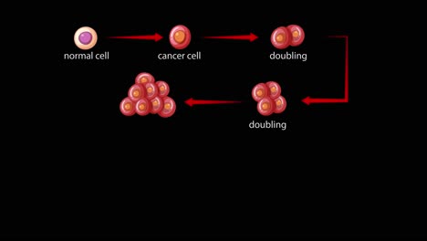 animated sequence illustrates a normal cell transforming into a cancer cell, followed by exponential malignant cell division on a black background with labeled arrows