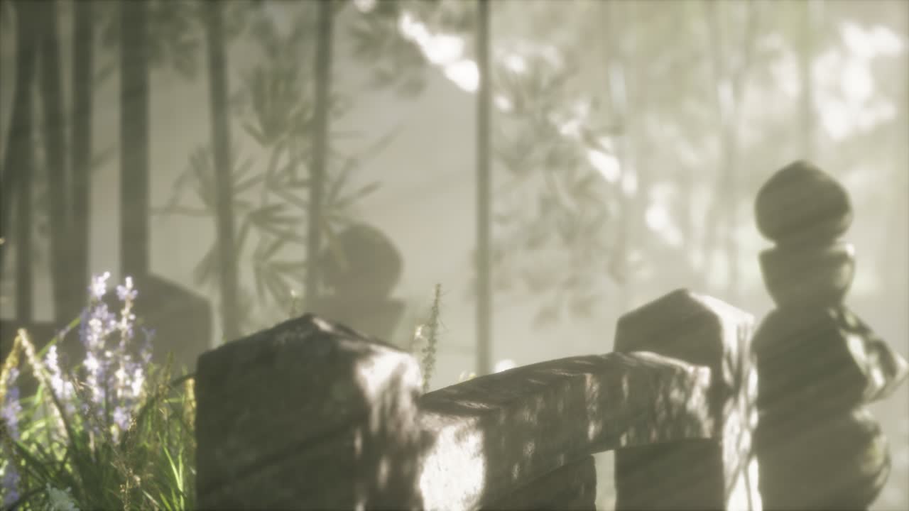 일본 대나무 숲 과 녹색 초원 잔디 와 자연 빛