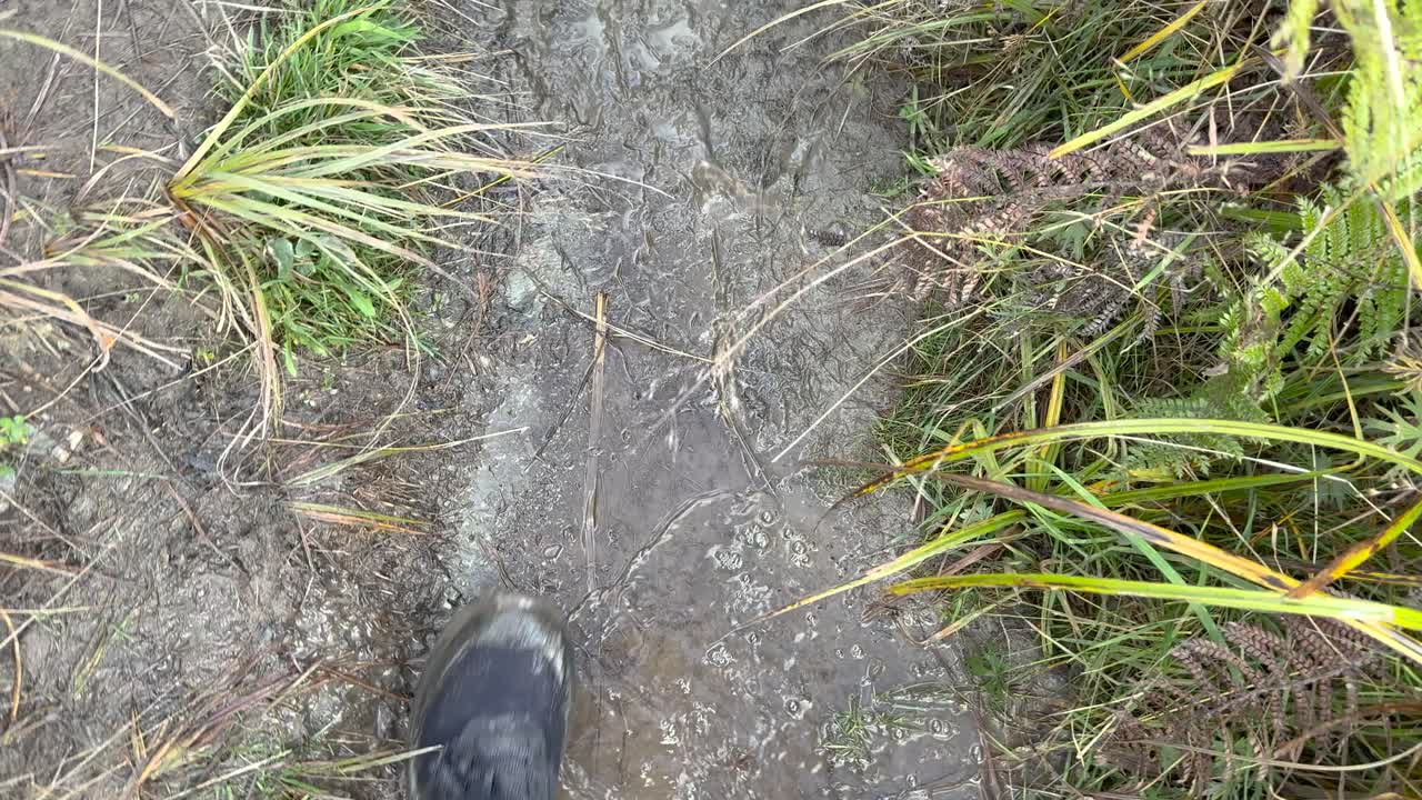 Person walks along muddy, grassy trail with hiking boots, handheld camera, natural daylight, outdoor setting