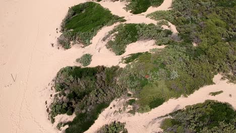 flying over the dunes of piscinas in sardaigna