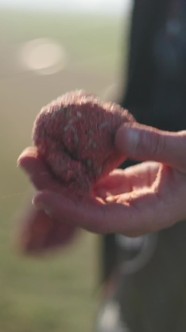 Fishing groundbait ball