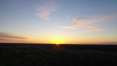 sunrise over a forest