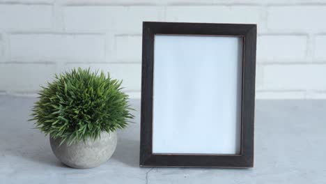 empty photo frame with plant