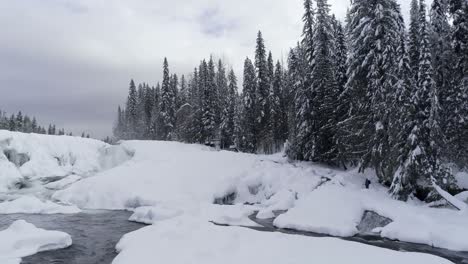 Arroyo-Que-Fluye-A-Través-Del-Bosque-Nevado-4k