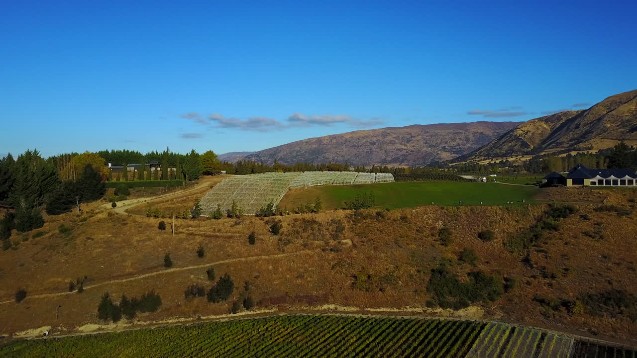 drone vuela hacia el viñedo en el lago wānaka, isla sur, nueva zelanda al atardecer