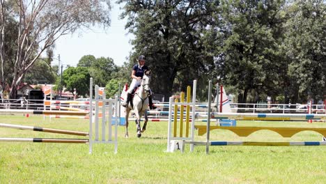 horse and rider jumping over obstacles in arena