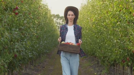 mujer cosechando manzanas en un huerto