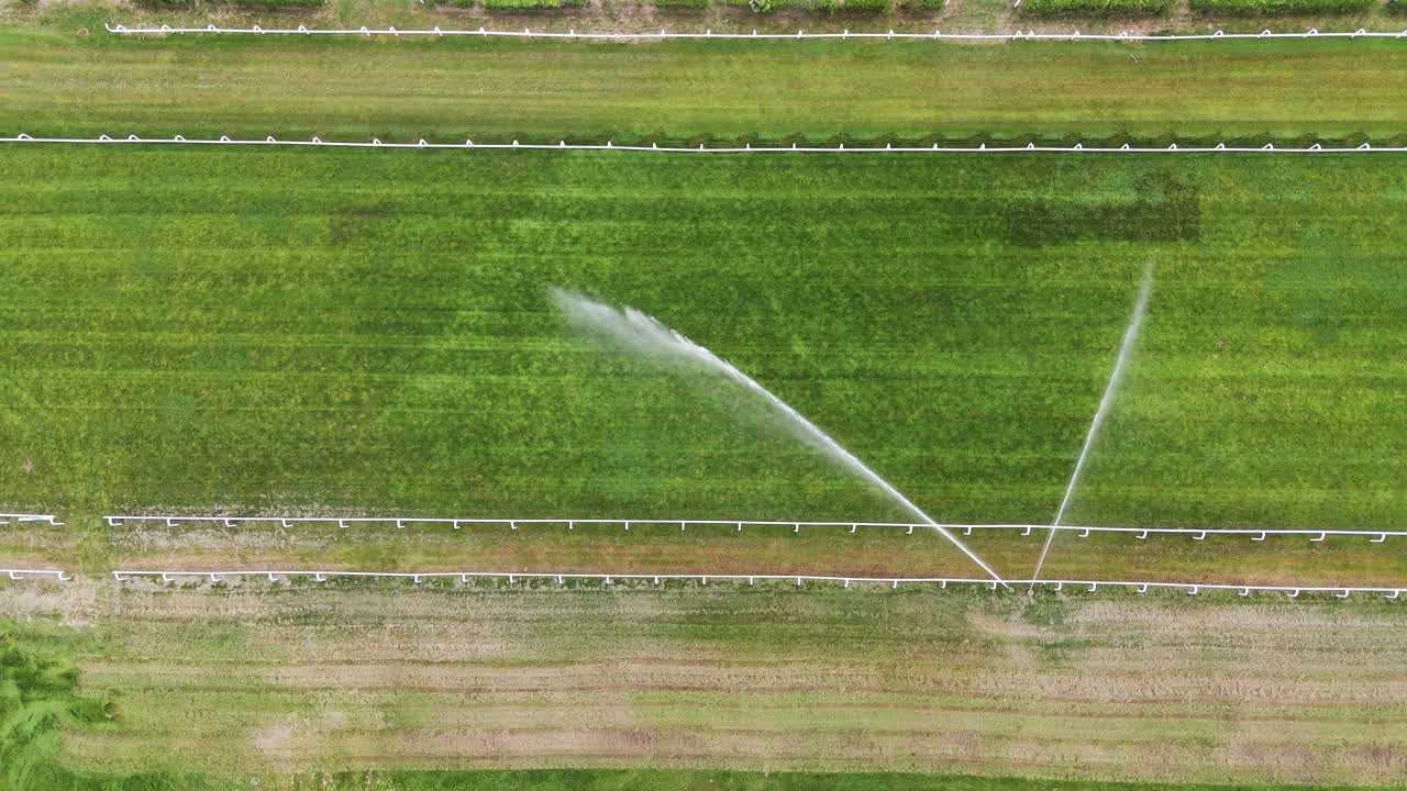 Aerial drone view of racetrack irrigation in Milan, showing water spraying for track maintenance, surface preparation, and the arena layout from above