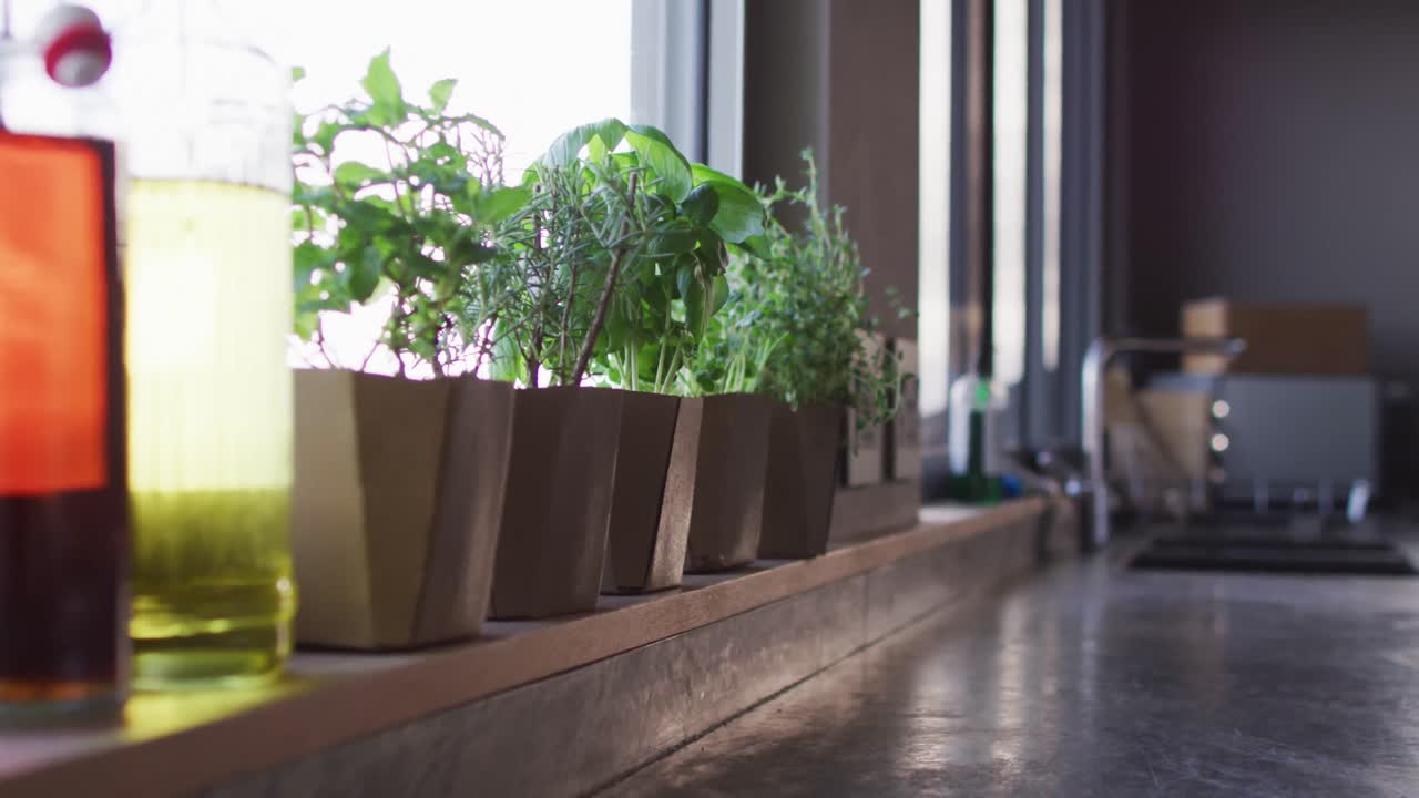 Video di erbe aromatiche e piante da appartamento sul davanzale della finestra a casa