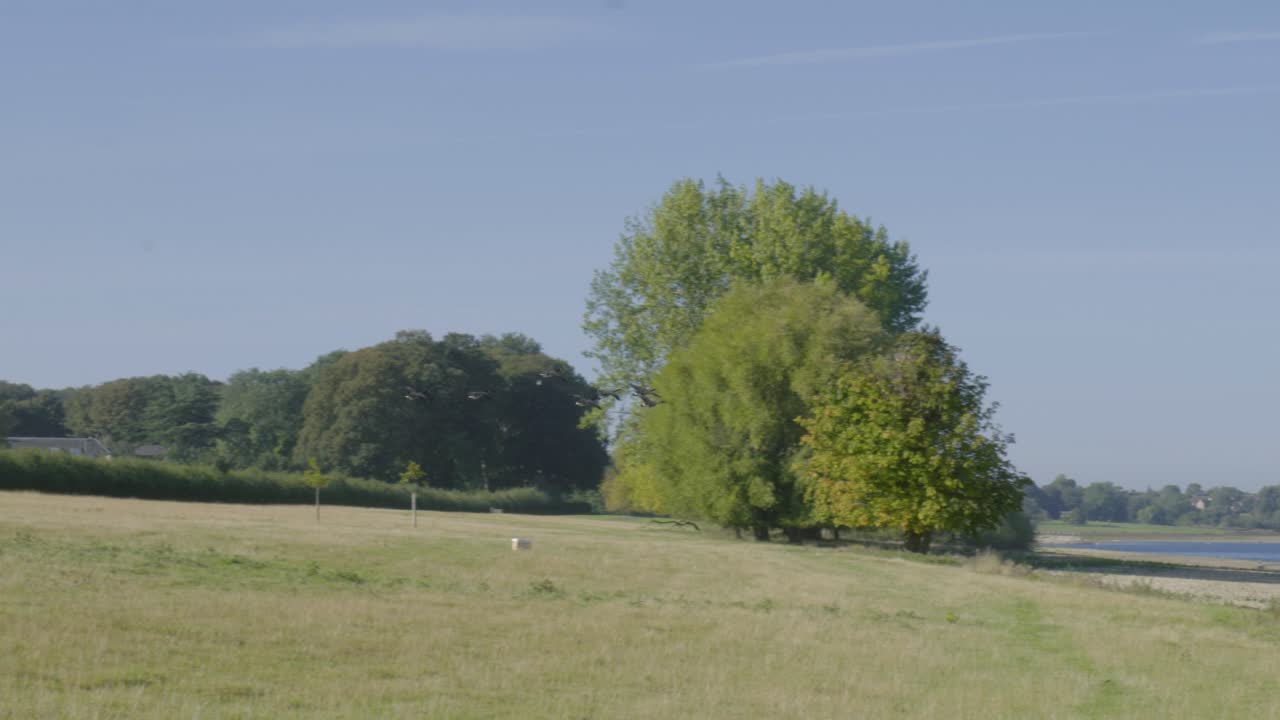 Vol de canards sauvages en migration au-dessus du réservoir de Rutland Water en Angleterre, Royaume-Uni