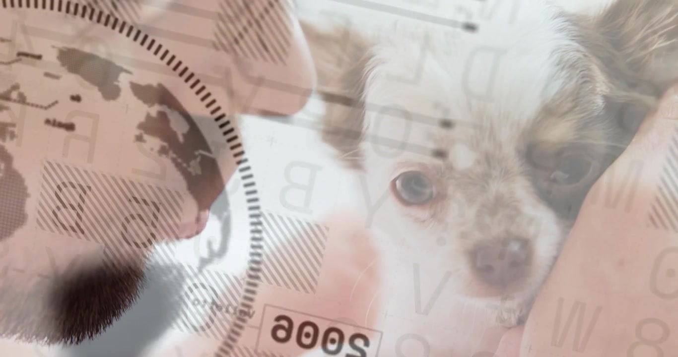 Uomo che si china vicino al cane mentre un overlay UI tecnologico semitrasparente ruota, mostrando una griglia, un indicatore e una mappa di Tokyo.