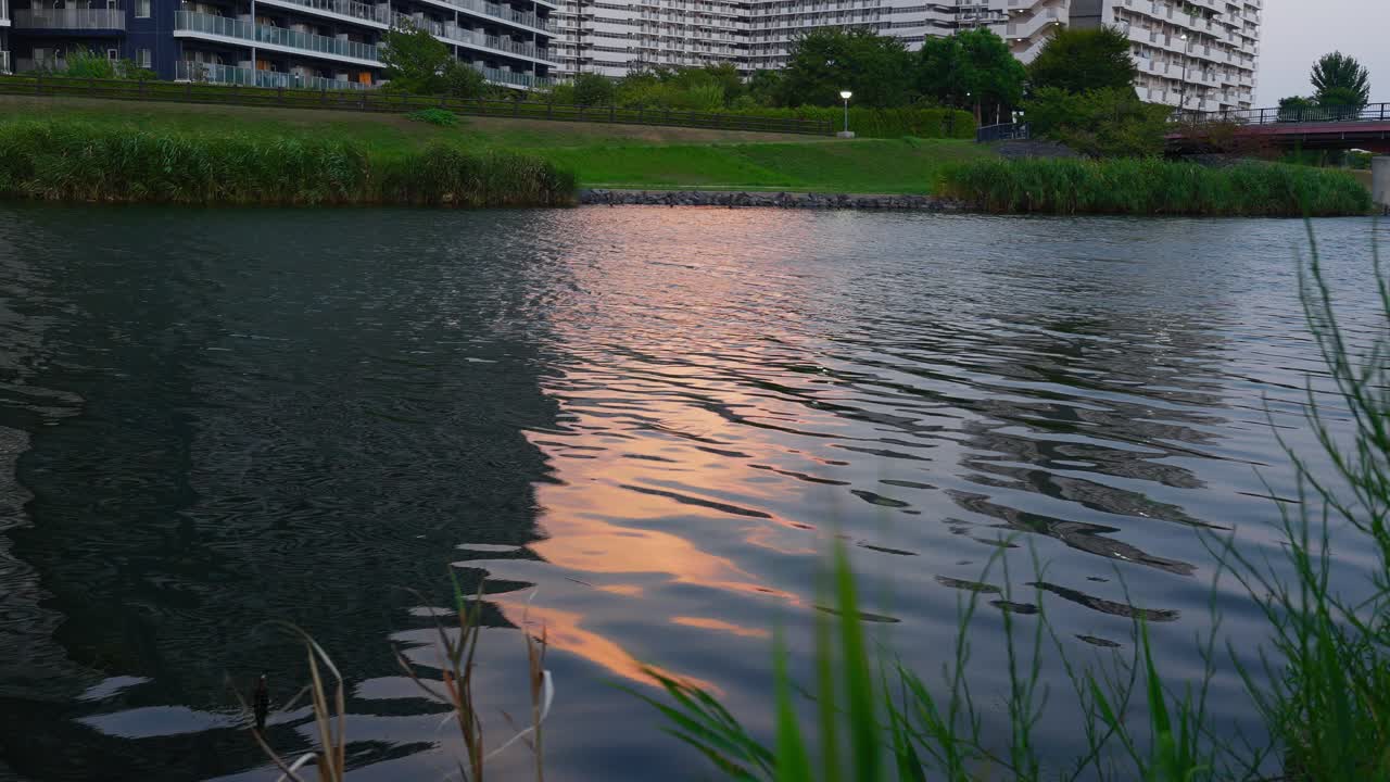 A tranquil urban river scene with a grassy bank and distant residential buildings, capturing the last light of day