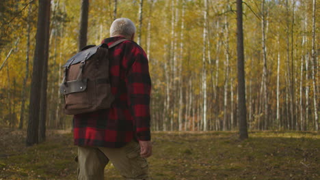 hunter is exploring forest area man with backpack is walking in sunny woodland alone back view