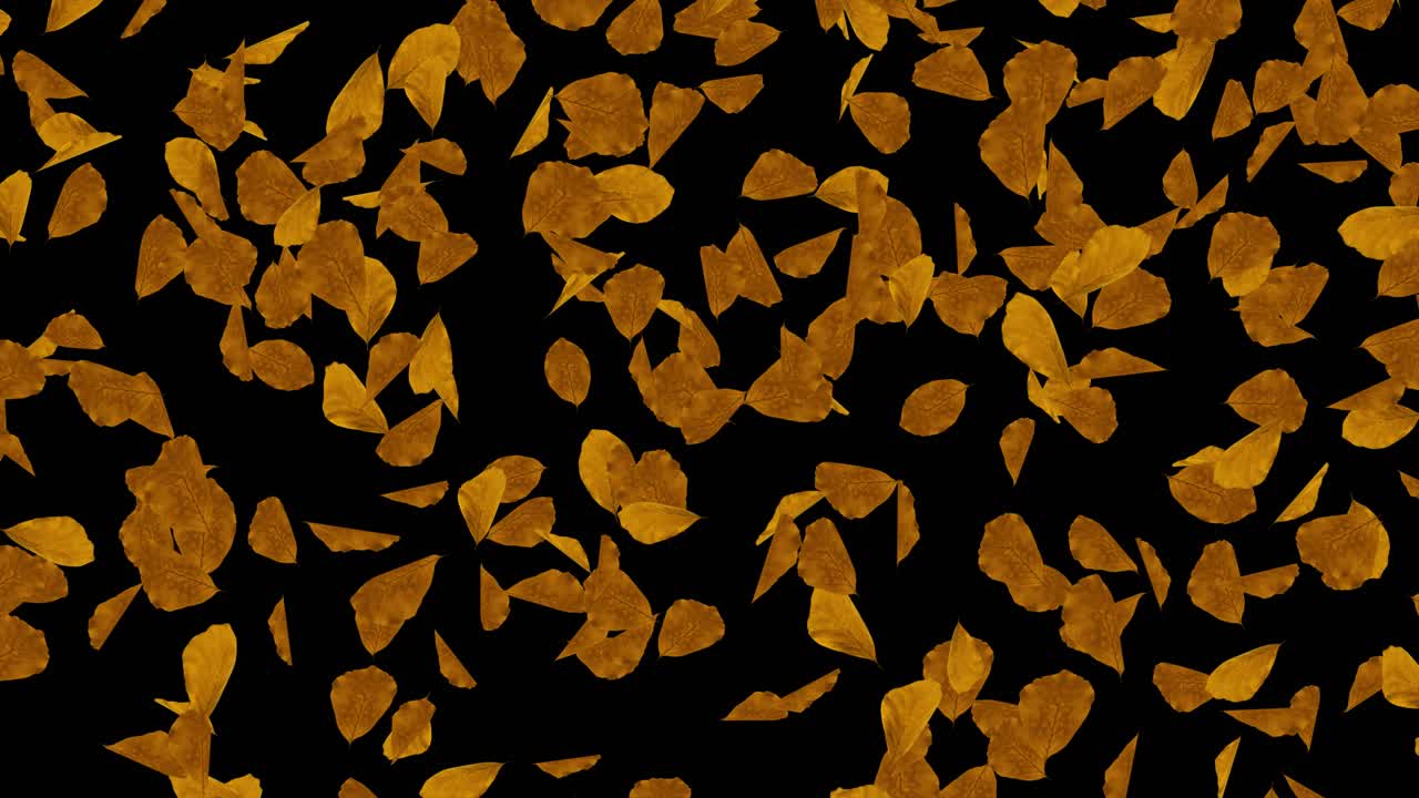 Abstract Leaf Patterns