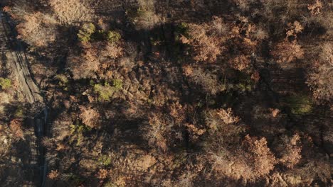 Aéreo:-Filmación-Cenital-Cinematográfica-Sobre-Bosques-Y-Campos-En-Los-Apeninos