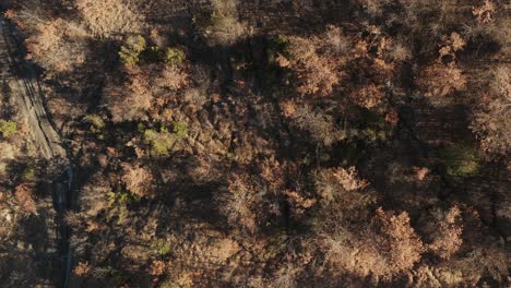 aerial – cinematic zenithal shoot over woods and fields in the apennines