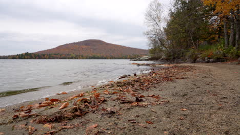 still shot in front of a lake in fall