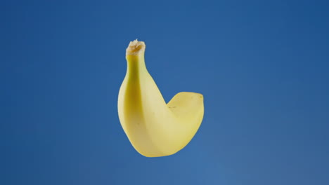 banana circling against blue backdrop. cutout, chroma key