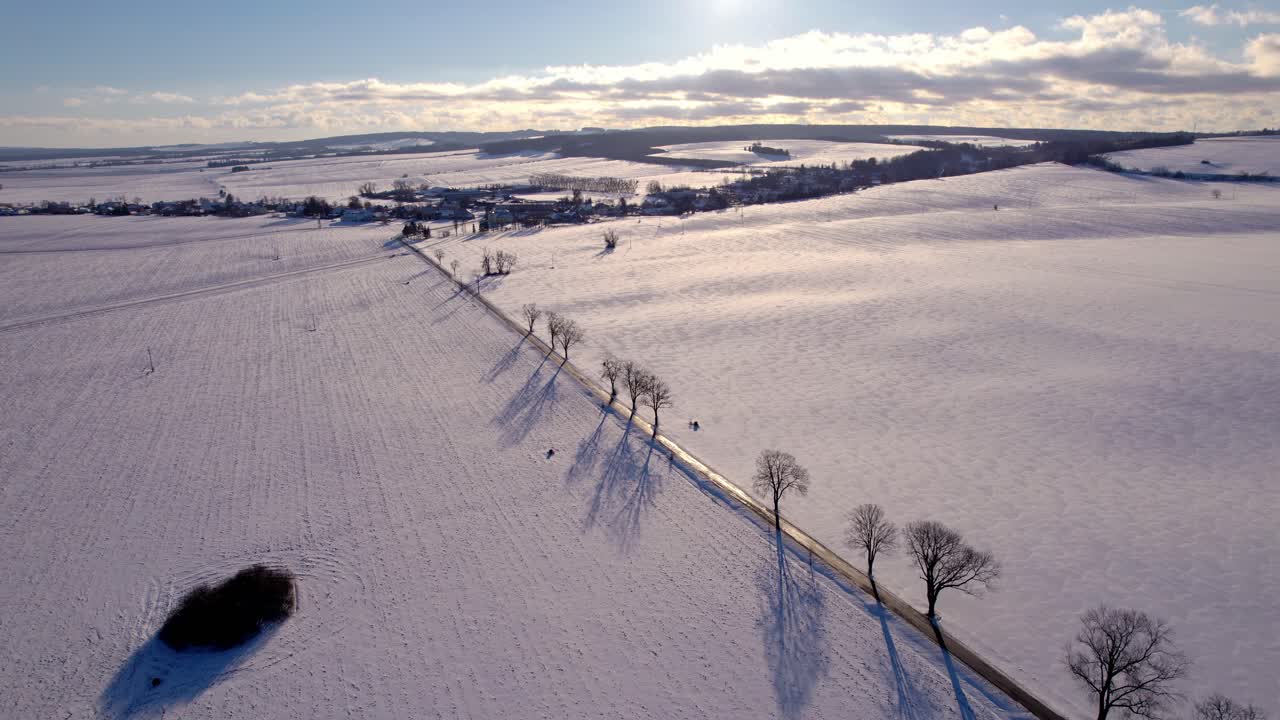 눈으로 덮인 나무가 늘어선 도로가 있는 꿈꾸는 겨울 저녁 풍경