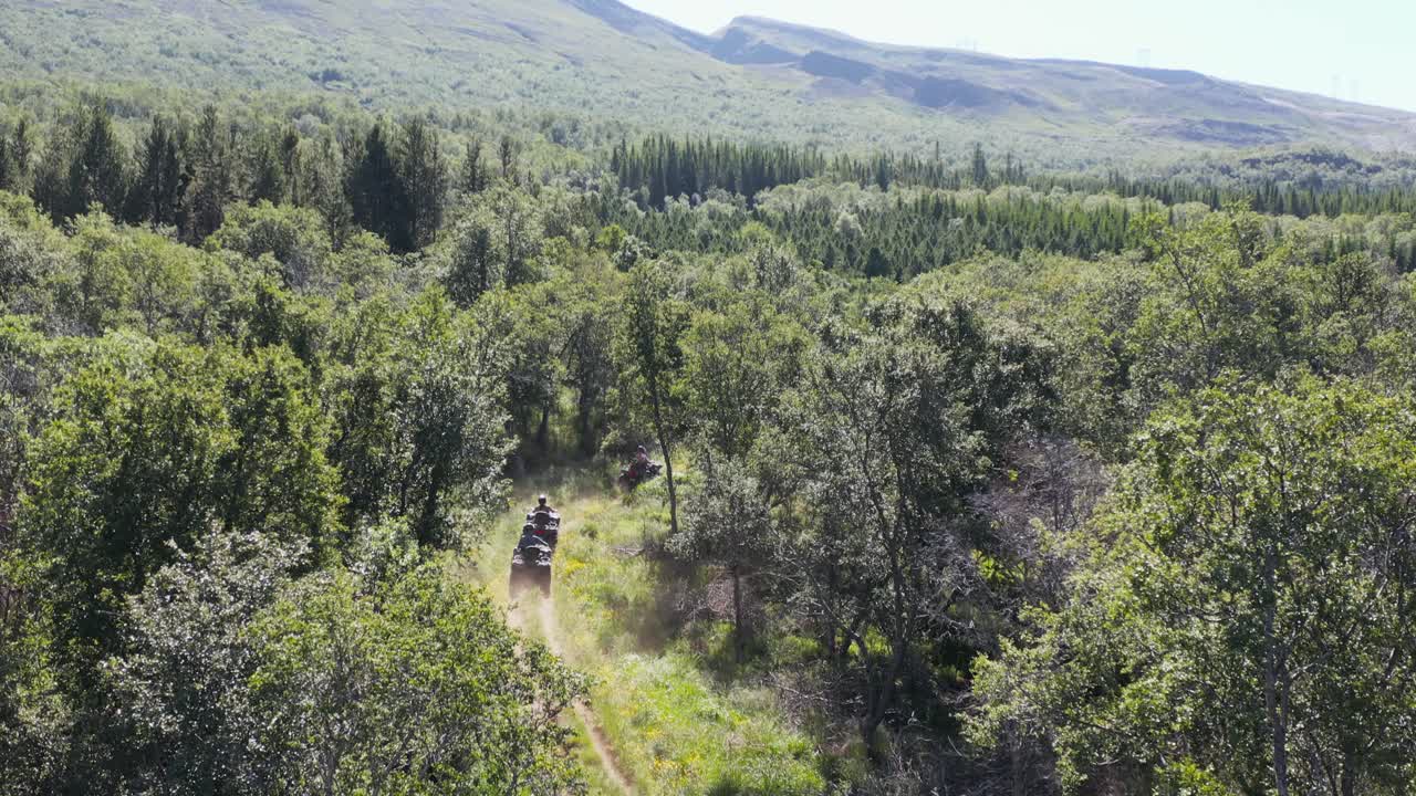 Turisti su quad che guidano su un sentiero sterrato attraverso un paesaggio di foresta verde selvaggia.