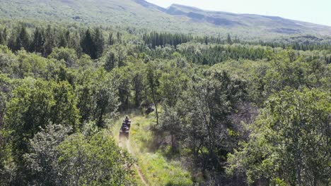 Tourist-on-quadbikes-riding-on-dirt-trail-through-wild-green-forest-landscape