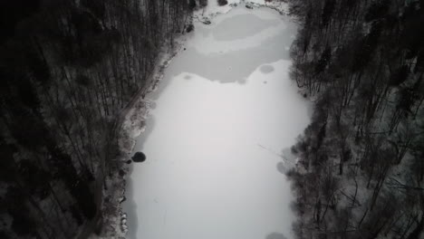 Aerial-Topdown-of-Forested-Frozen-Lake,-Zurich-Switzerland