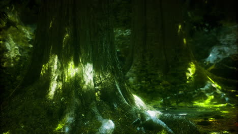 majestic trees illuminated by sunlight in a tranquil forest setting