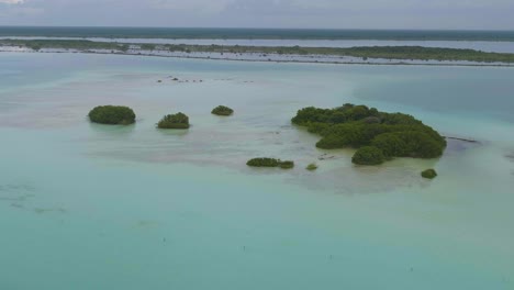 tropical islet islands in bacalar, mexico coast - nature landscape, aerial