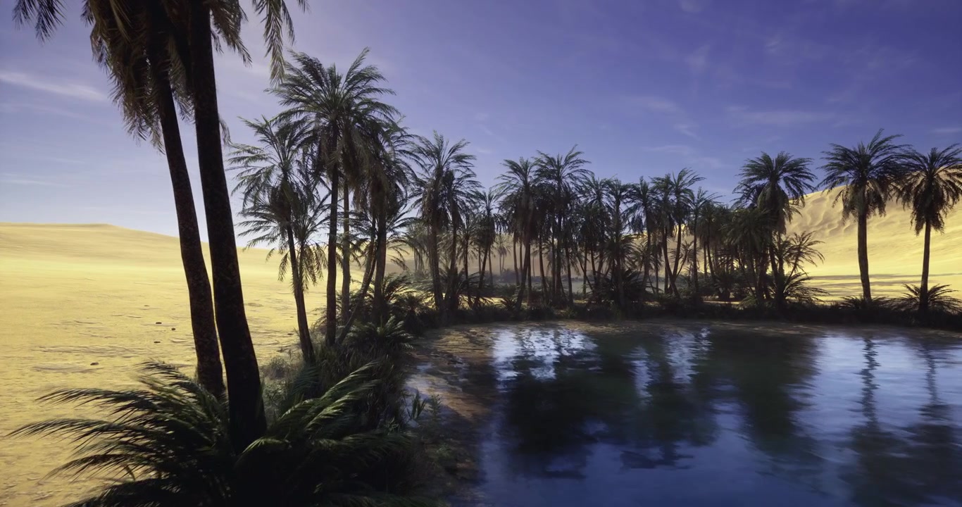 Calm water setting with shadows of palms and soothing natural surroundings