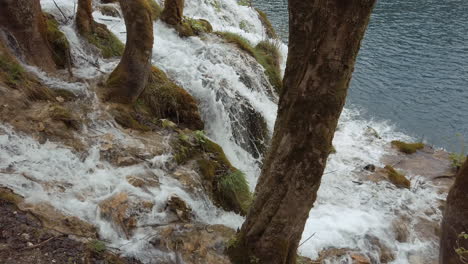 waterfall flowing through the forests at plitvice national park in croatia