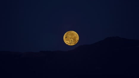 halloween moon with bats flying