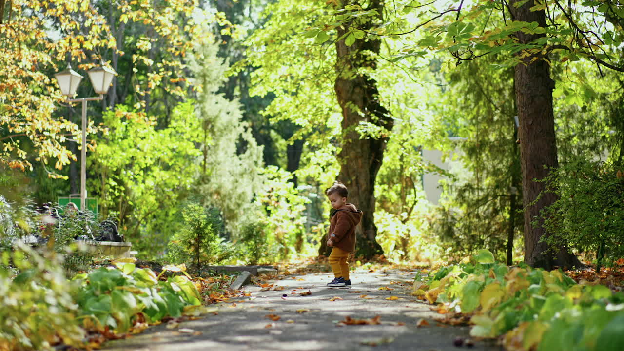 Little kid runs by the alley in the park. Baby stops noticing the chestnut on the ground.