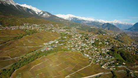 Vineyards-In-Autumn-Colors-In-The-Village-Of-Saviese-In-Sion,-Valais,-Switzerland