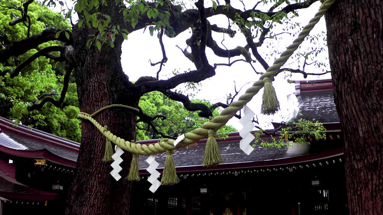 도쿄 최고의 전망