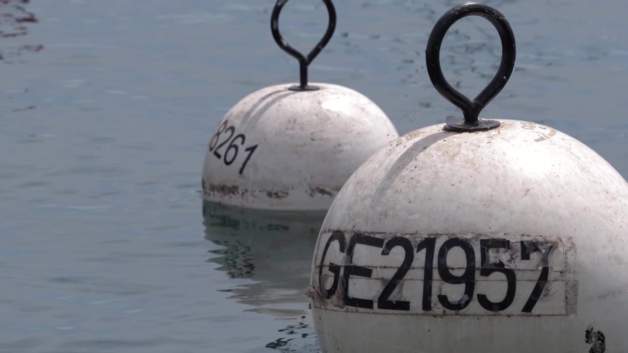 Close-up shot of white spherical navigation buoys bobbing gently on clear blue lake water.