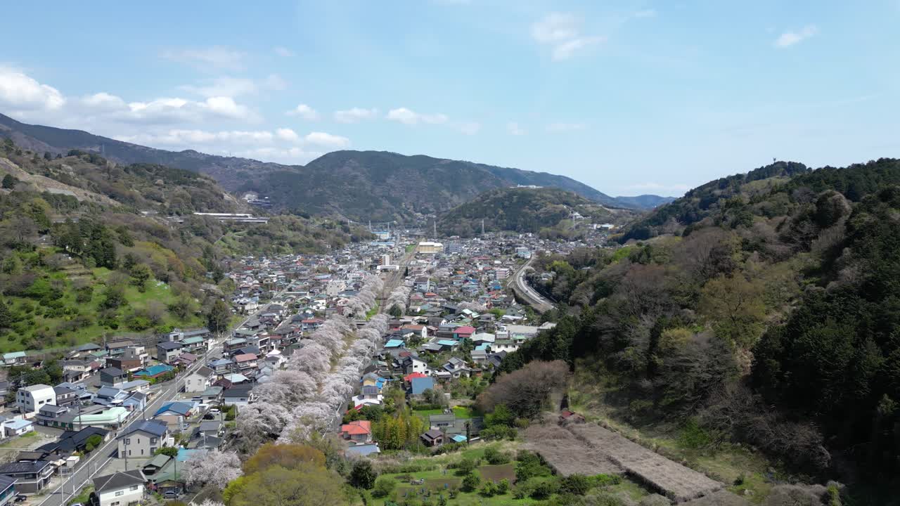 Drone slow motion sideways flight over rural Japanese village with Sakura
