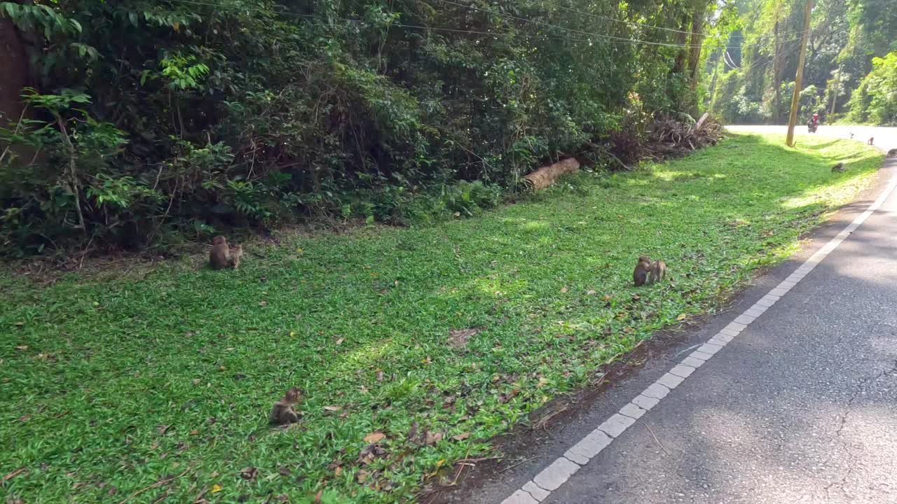 숲길 근처 에서 상호 작용 하는 원이 들