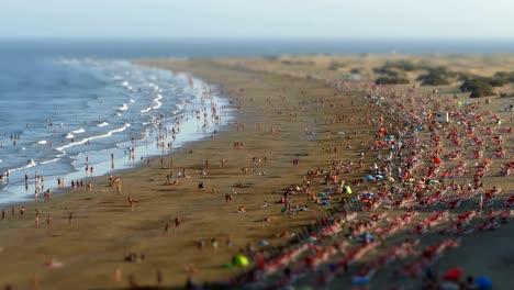 aerial view of the english beach, canary islands.time lapse,tilt-shift effect.