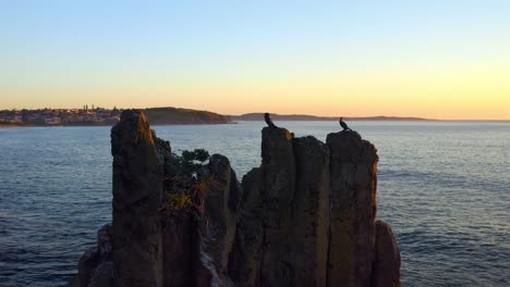 Luftaufnahme-Von-Kormoranen,-Die-Bei-Sonnenaufgang-Auf-Den-Felsen-Der-Kathedrale-Nisten,-Nsw,-Australien