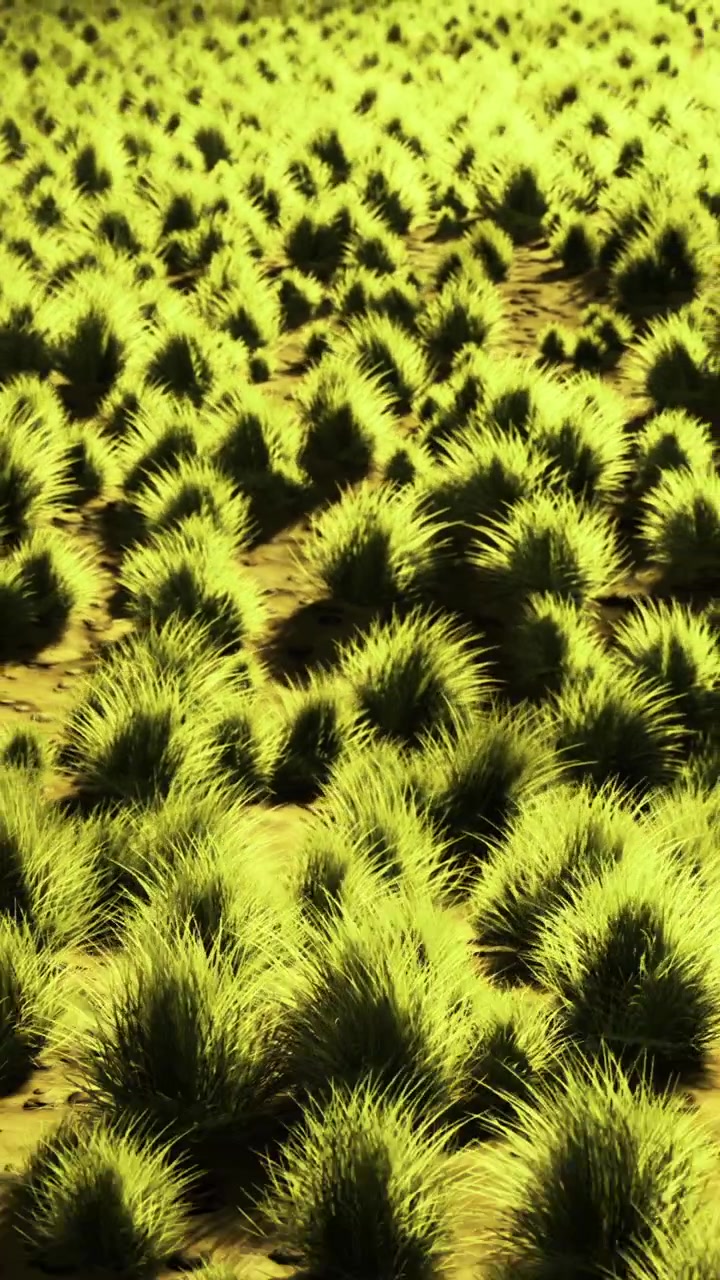 Green grass covers the ground in a sunny area with many plants