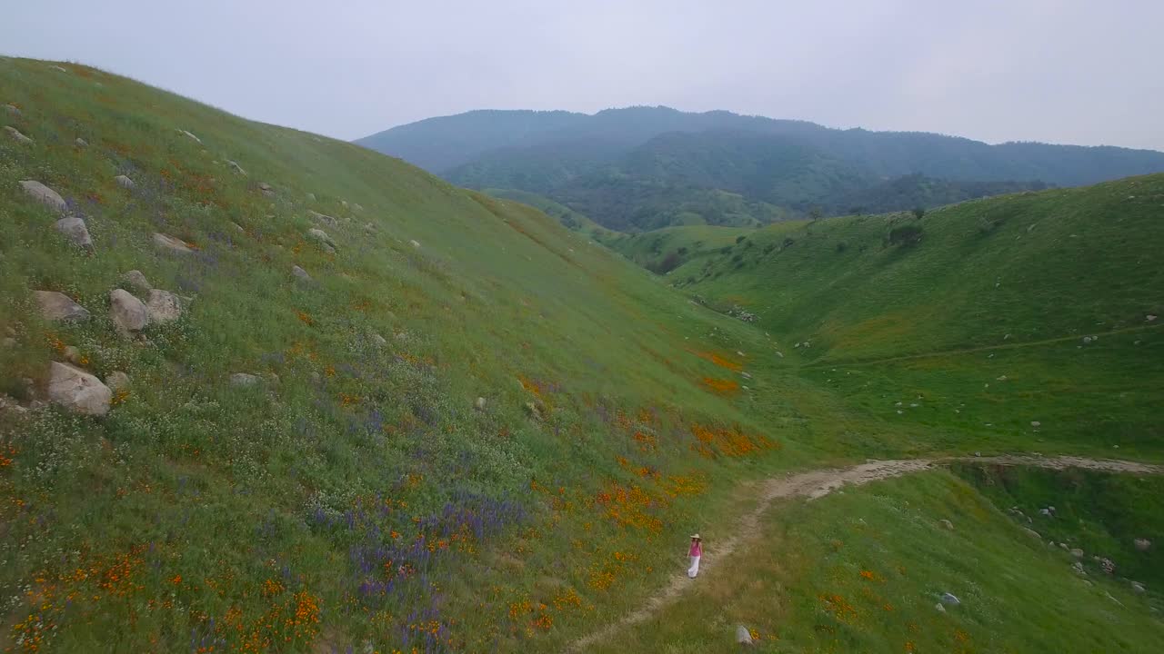 una mujer camina a través de vastos campos de flores silvestres en una ladera de california 4
