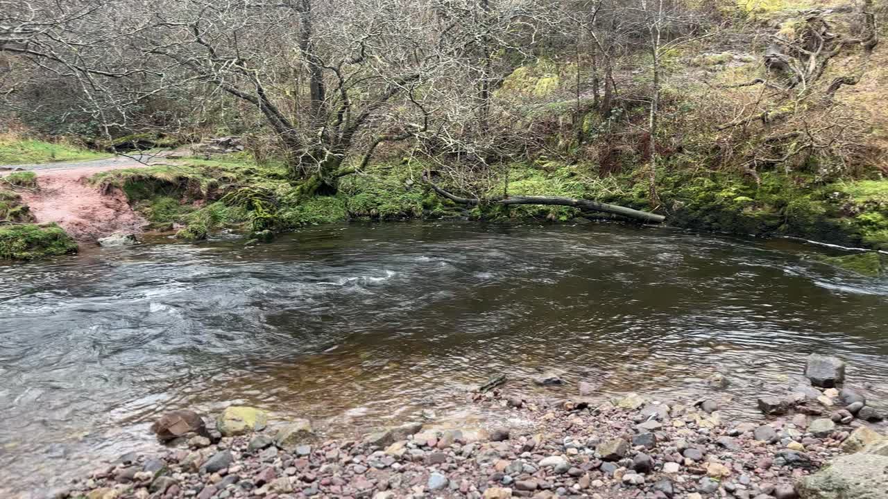 Jembatan titian kayu di Pont Melin Fach melintasi aliran sungai berlumut di Brecon Beacons dengan pepohonan dan lingkungan alami menciptakan pemandangan lanskap hutan yang damai di Wales